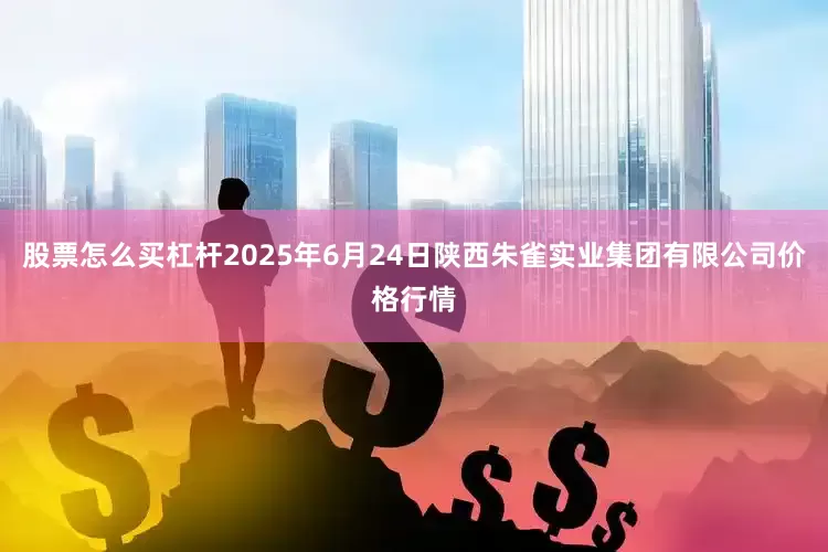 股票怎么买杠杆2025年6月24日陕西朱雀实业集团有限公司价格行情